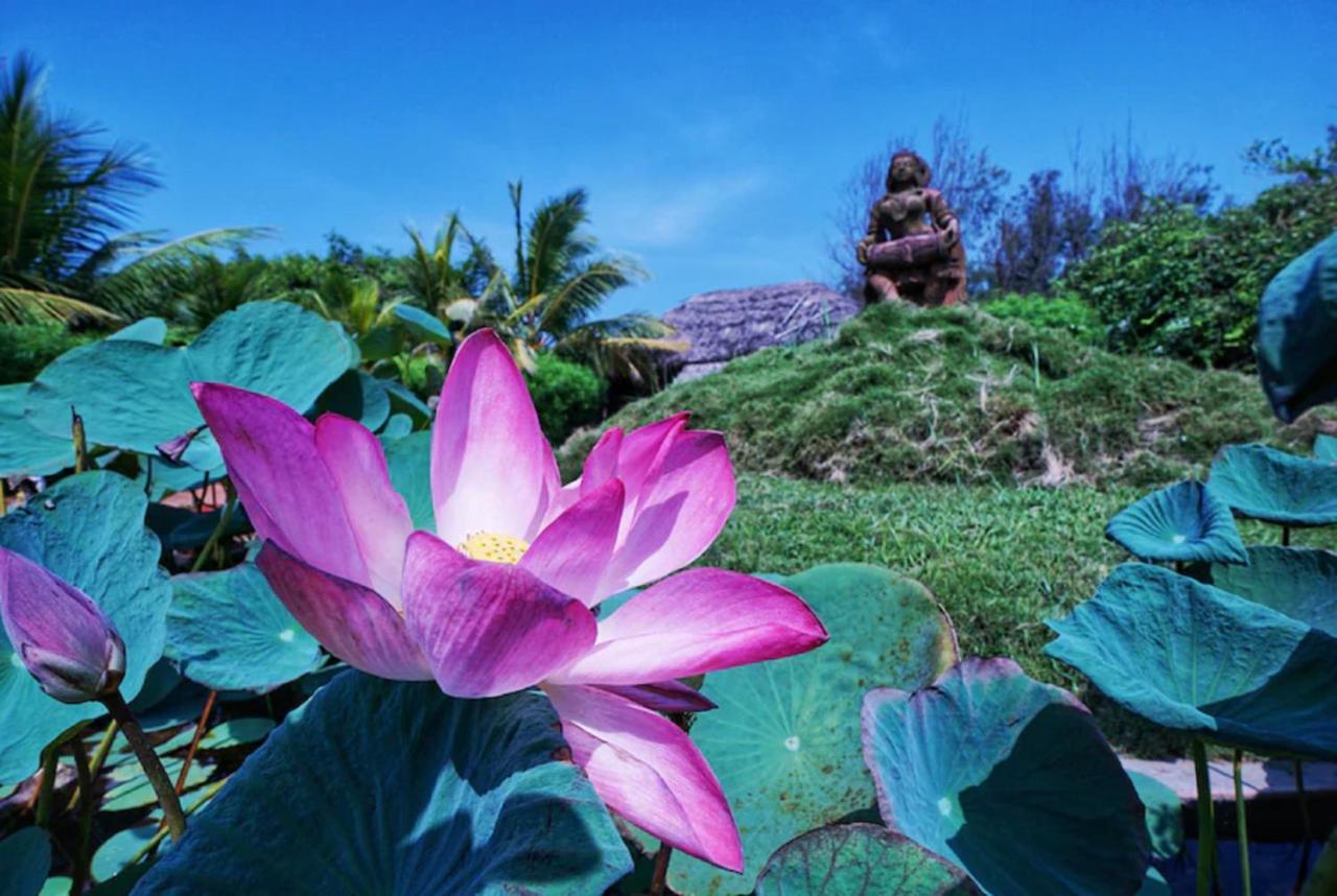 Lotus An Eco