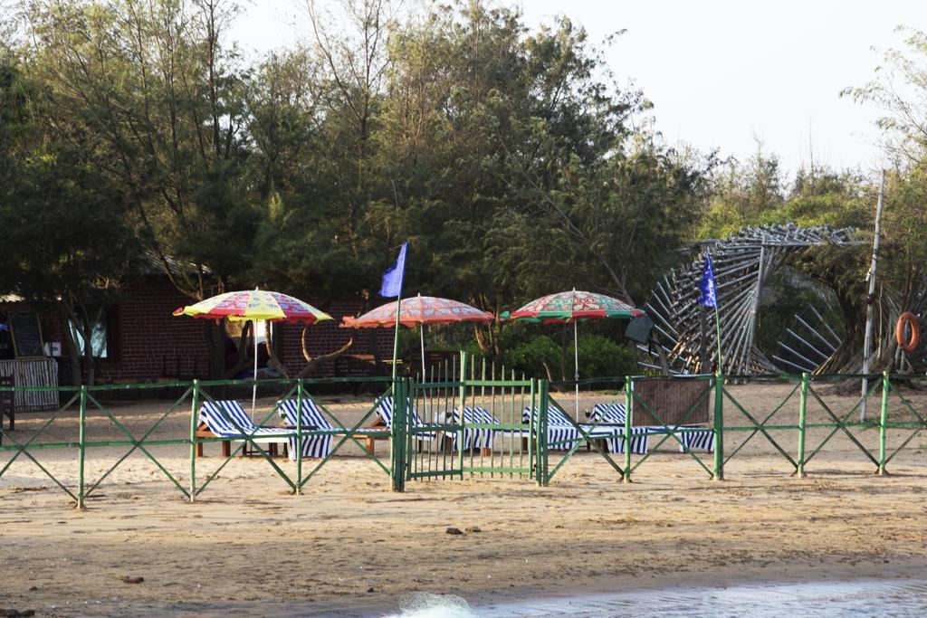 Lotus An Eco सहारा 3*