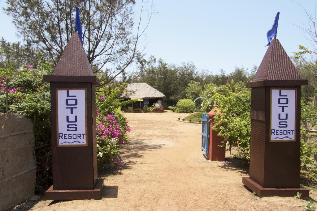 Lotus An Eco सहारा
